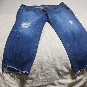 Women's Blue Distressed Jeans Torrid 18 R